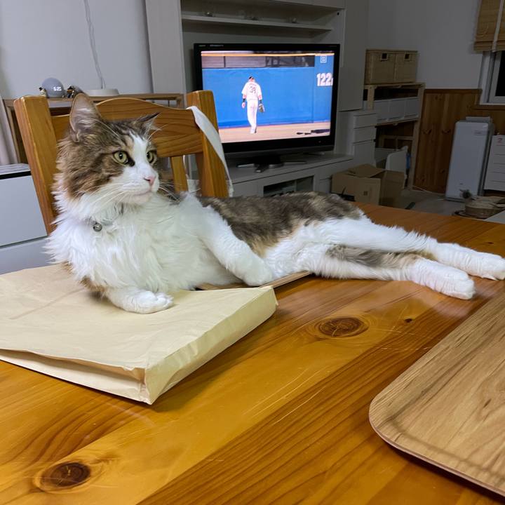 970374d2 0898 4101 a720 d86318cd6c4e 1662975187089