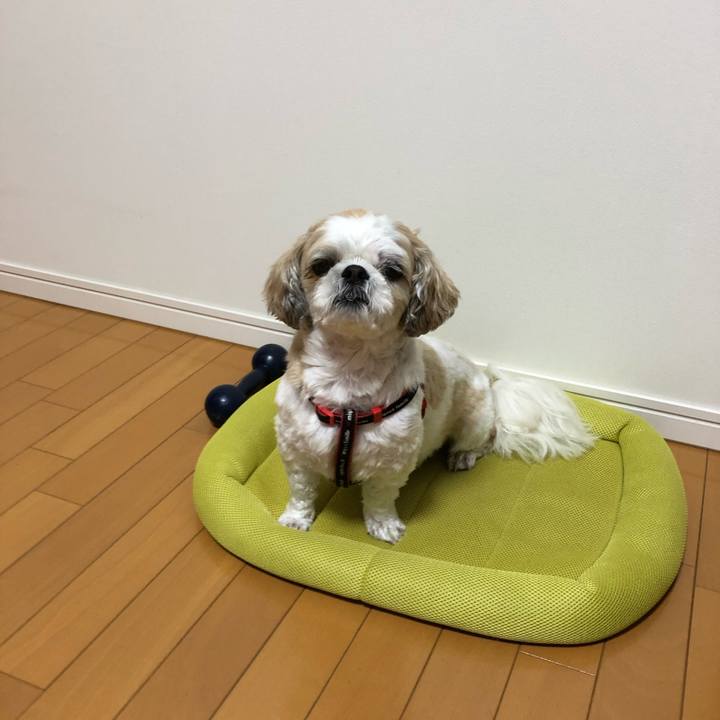 9703b21b 7aa5 455e b5c5 345e5733f15c 1565214259902