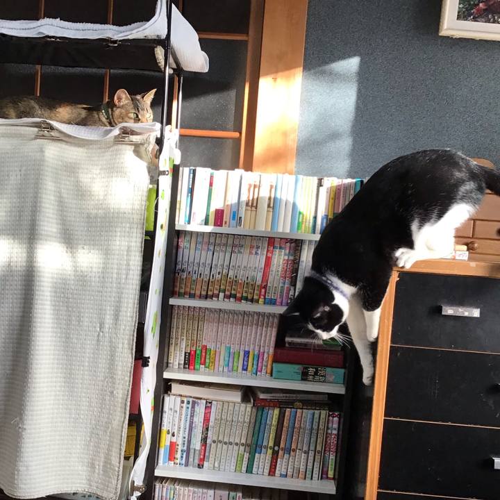 9703be34 b1a4 4640 8125 04932bc75ab2 1643768747804