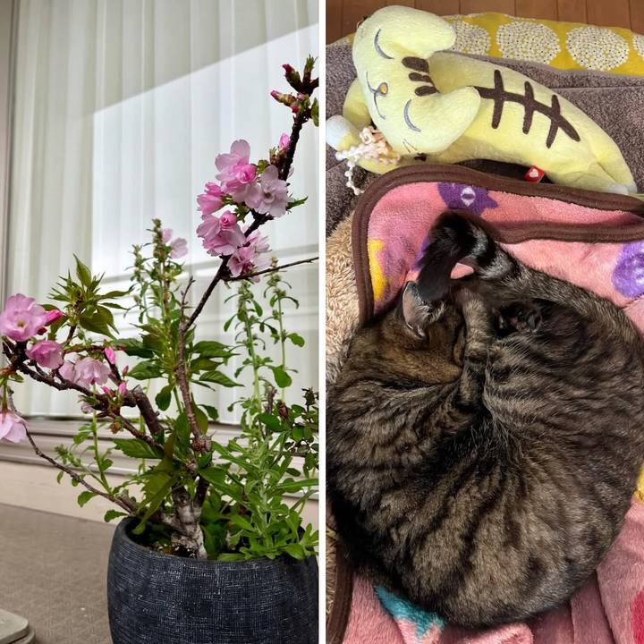 9703ced1 acc5 4e04 a2e6 1a2a11a6277c 1776217480936