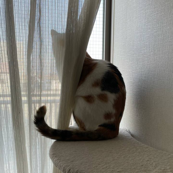 9703edc1 ec1a 4fc9 9925 5429deb5f44a 1605483386947