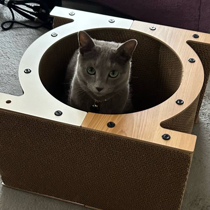 9703ef5c 2619 4fe1 a6c4 8d80ae5c76ba 1684037348624