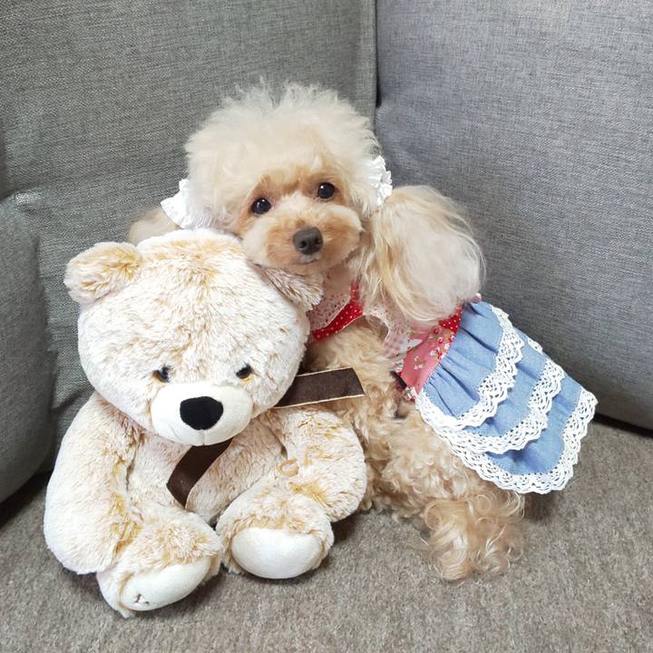 97043fd6 4626 43cf 865a f0b7ce412e29 1567042656777