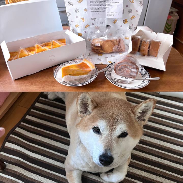 97046379 5a84 4d63 886f bb4d73e0b7e2 1717732416555