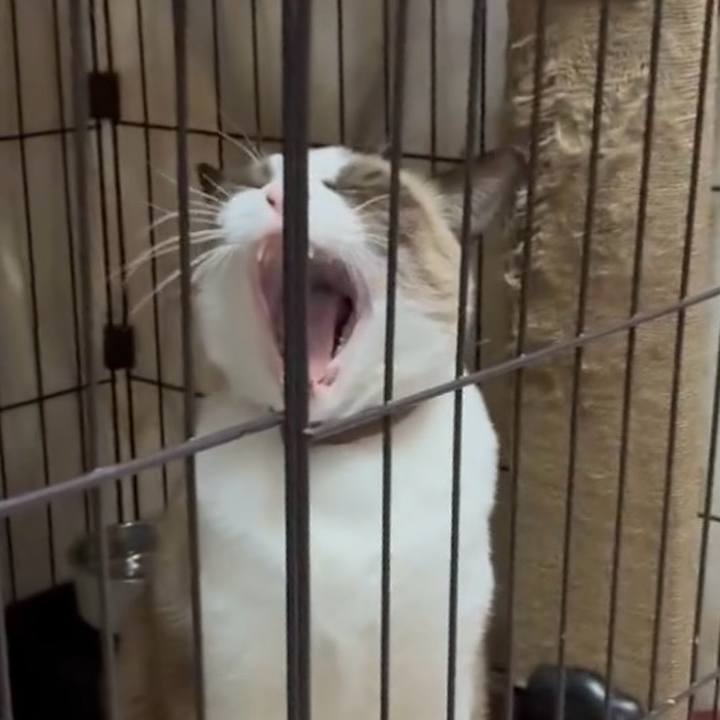 9704aed5 1226 4730 8ac4 2fbfd6170fbb 1763453968167