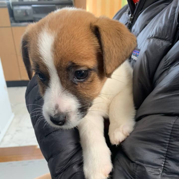 9704c548 dee2 4313 a533 41f57e11c12f 1614407416011