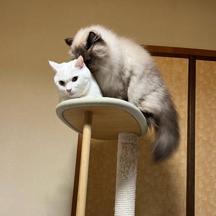 9704d03b 616c 4493 a8be 0046995e84c6 1729691059713