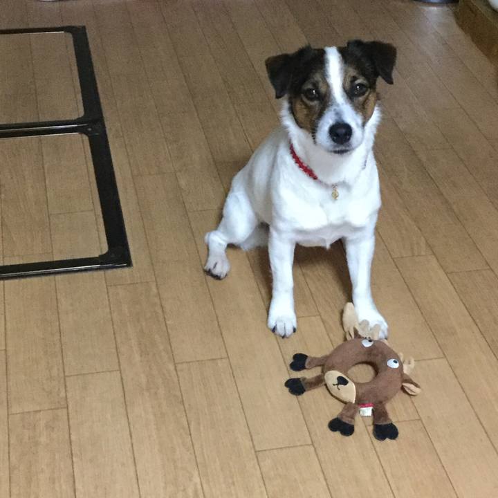 9704e500 6b35 4aa0 bc3c fcaa9eab7686 1551912186513