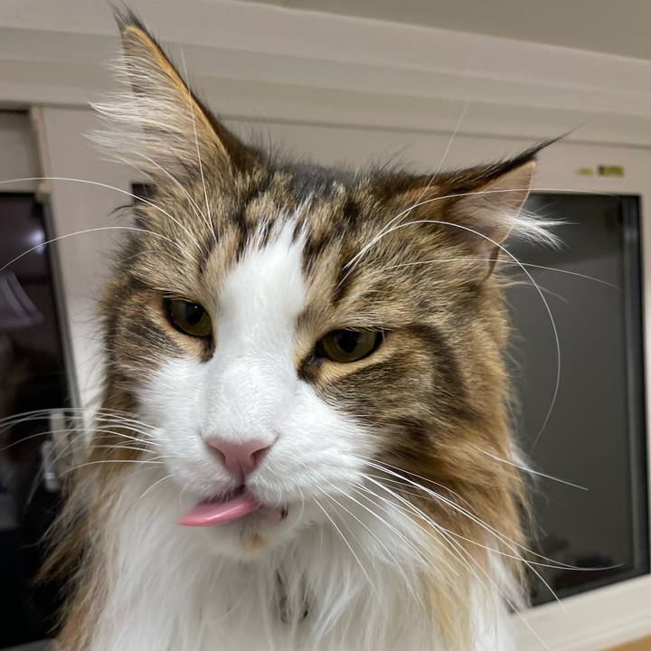 9704ee68 9348 415b b24c 7d86a1384a2c 1674418210476