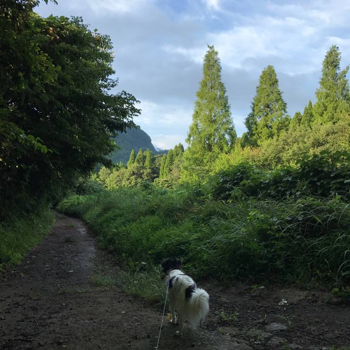 9704f56b 2da3 4f0e 892a c58473c6b675 1535865300203