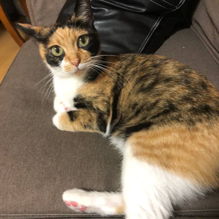 9704f771 d0b8 4507 8bc0 eb62c66e9c88 1565009872046