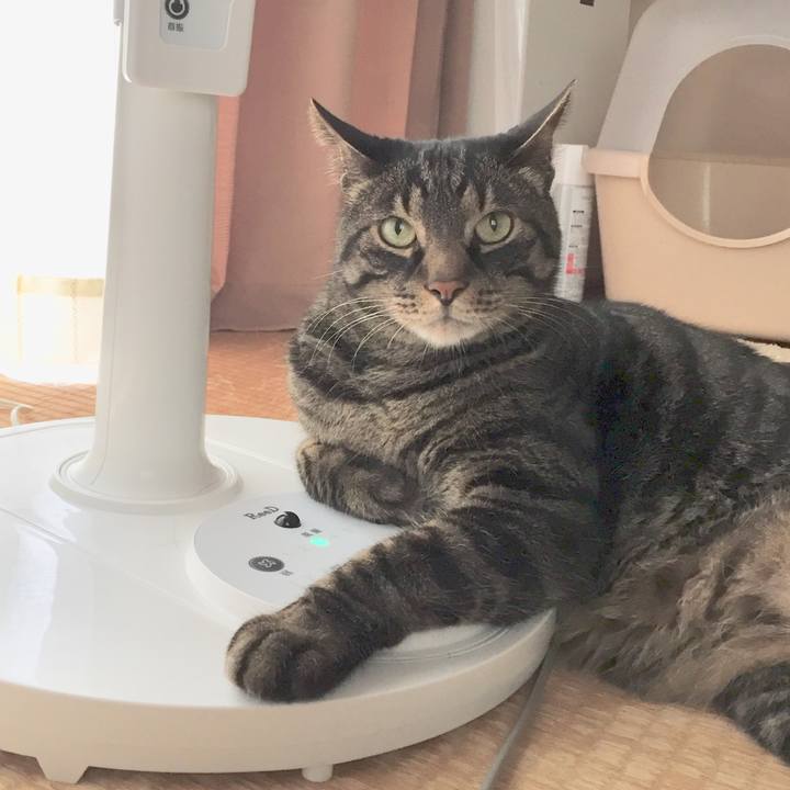 9704f805 0ab4 43d2 9080 7f3360a138d9 1593685802376