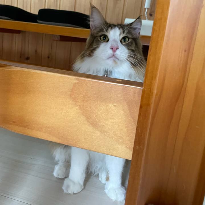 9704fa29 5c6b 4fcf 808a 9beb1001a4d2 1653167619486