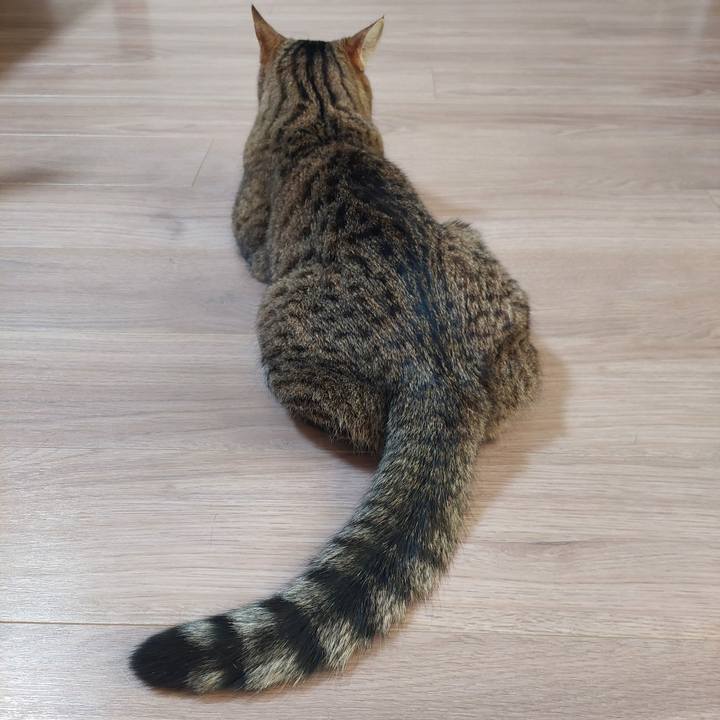 9704ffa3 b2a6 4b0b 93f7 b2579e08b8f7 1735944934324