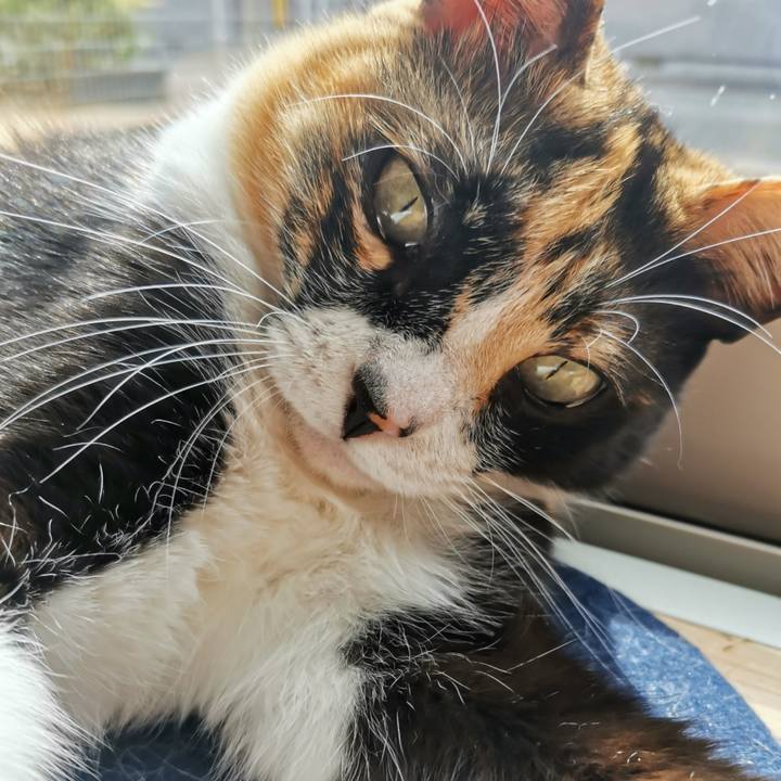 970501c1 eeb2 4fea 94a6 49891debfc23 1651979380021