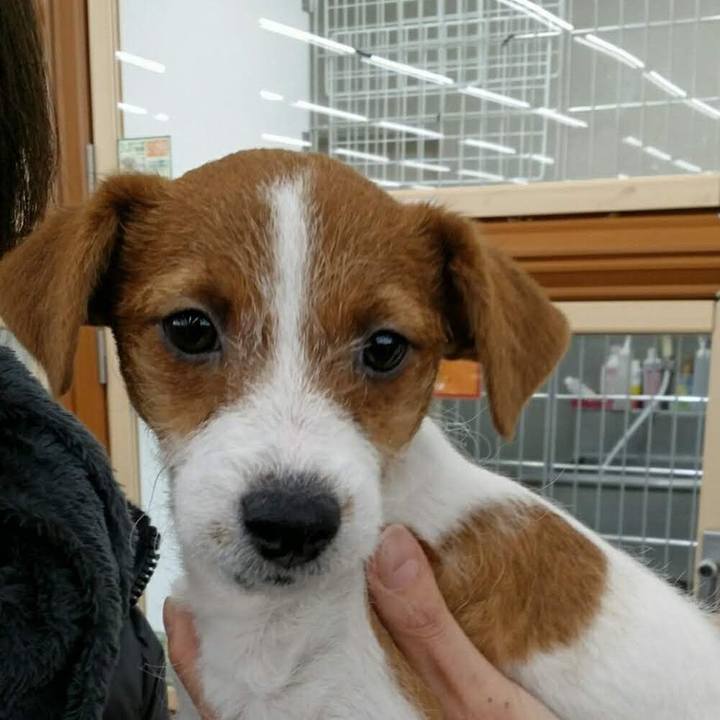 97050cb1 0008 48ae 9734 dbad0a88706f 1615524608614