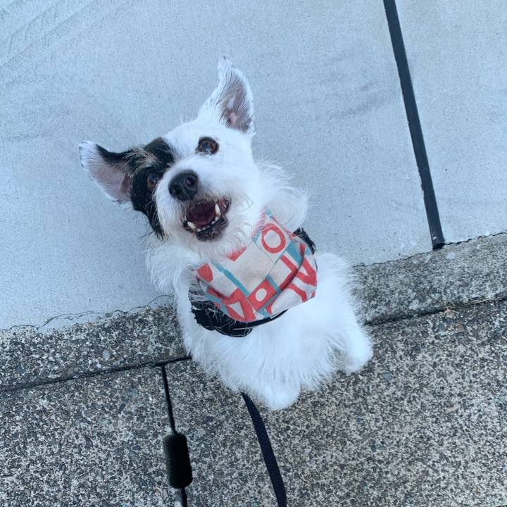 9705328f 79a0 4ba7 b4ec dd299758a4f4 1754434886450