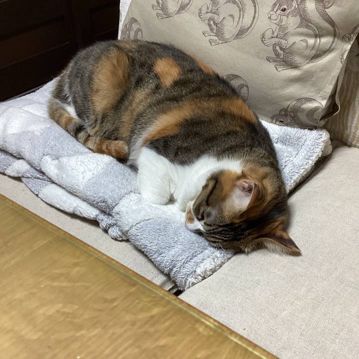 97054f14 fede 4d24 a345 f730f5e0f7b0 1704973360843