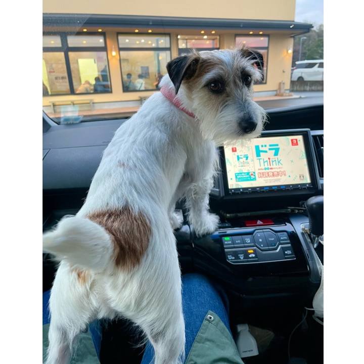 9705529f 6706 47cc b019 d92b431ca6fb 1679733893082