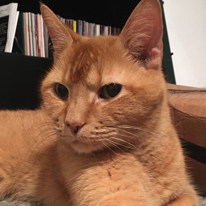 97055b9d 1937 42ff ae50 59a3d6731cf6 1677091706361