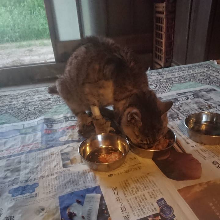 9705b052 df92 4fa5 baa0 1bf3ed4205de 1598041075473