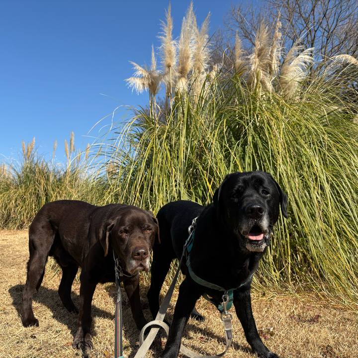 9705bbec b6b7 4a09 af36 bb9577e2163b 1768731641902