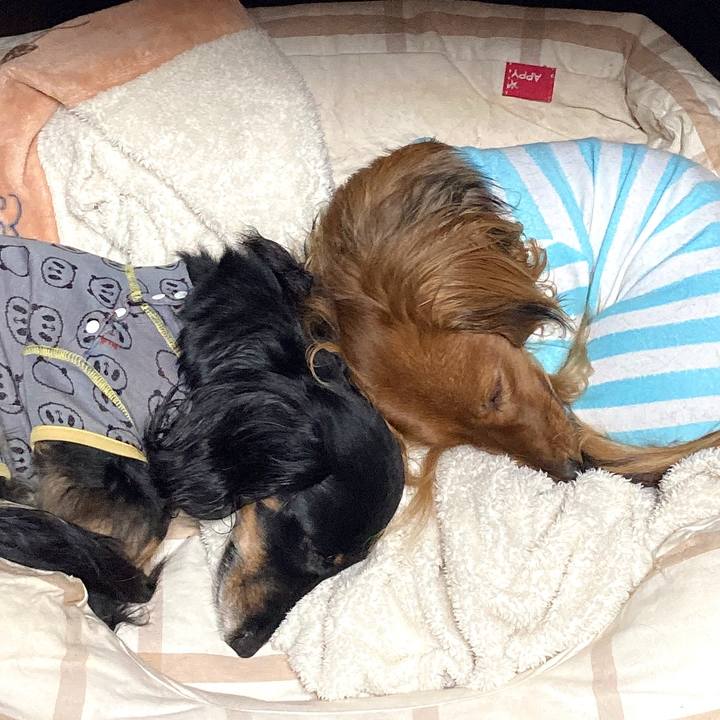 9705c73a 1b45 45e2 8777 7fc897f2842d 1743343264145