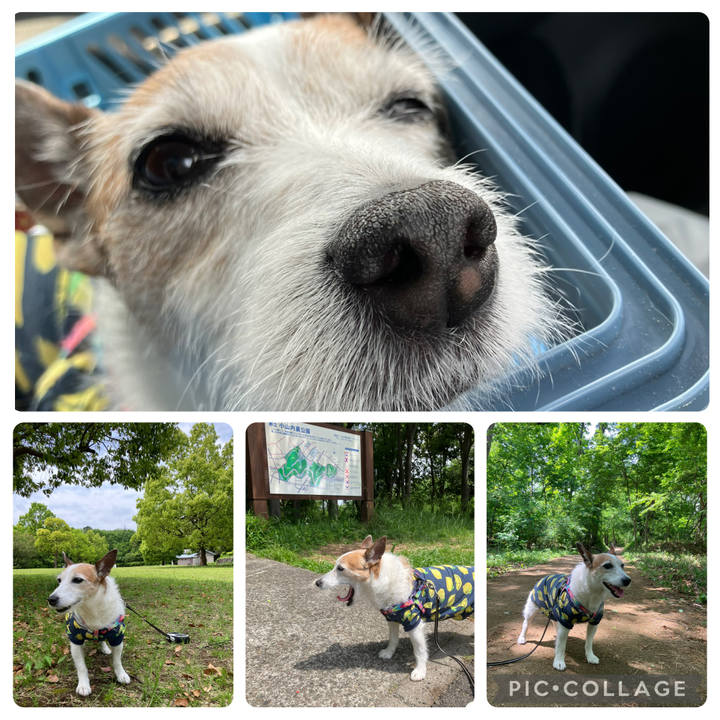 9705e2be de63 4670 a29c a9a52ffa2650 1746401779061