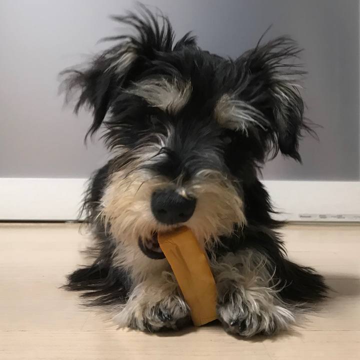 970603f0 de99 45cc 8f5a a627eae5bdc4 1556443772363