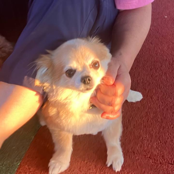 97060956 71fa 49cb 9cbb 7b2706666eef 1753011260501