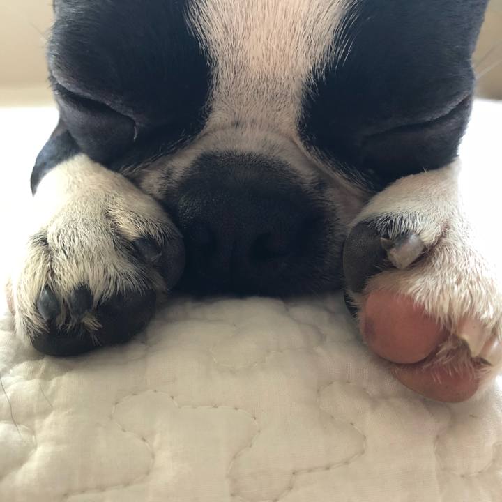 97062f52 7bc0 495d 8aff 3267d2aab546 1526371194490