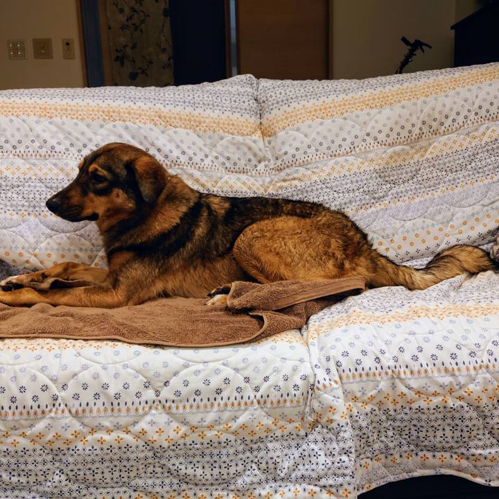 97063e64 855b 479d af00 2d3d4b09b120 1704184827286