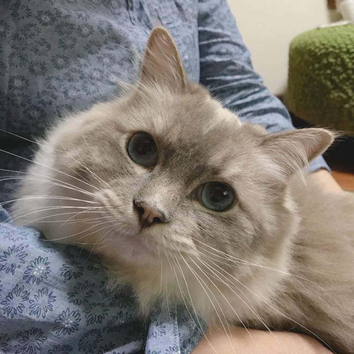 970642f7 f5e5 438d b9c1 80257d1ec1b1 1533427301968