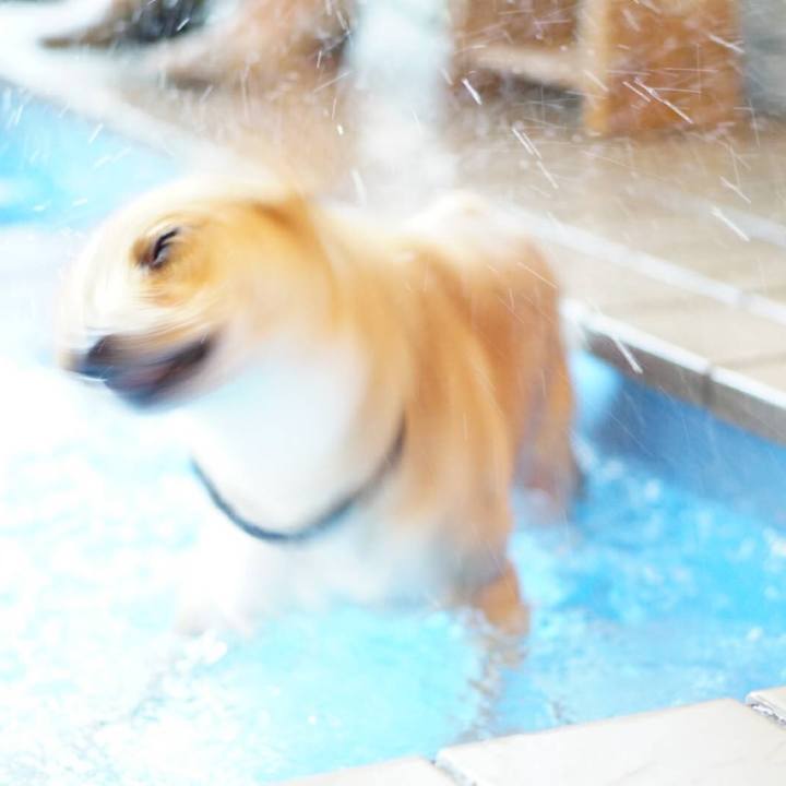 970673a1 44e6 404f 811d 0c1762915966 1511200424854