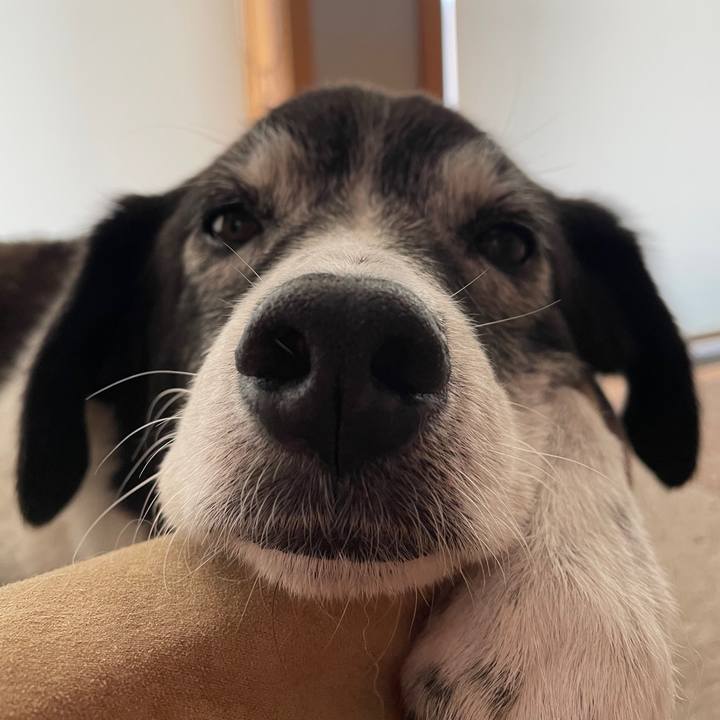 9706a750 ebcf 412b 8e19 12e1484a8c88 1763037400372