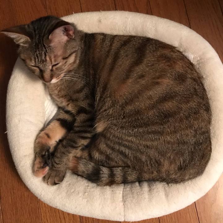 9706ac4d b685 42a8 8ad2 da45dbce52d2 1590886966341