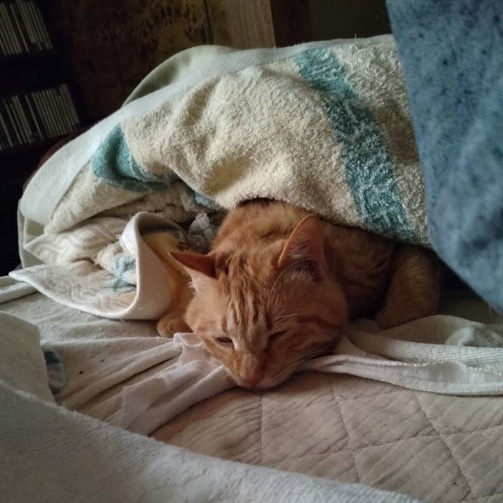 9706b15d 44f6 45ca 947b 1d5da9b763ca 1746142452964