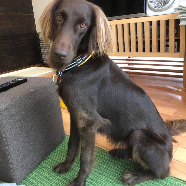 9706b65e b75e 42f0 9537 41969cfad101 1602755957694