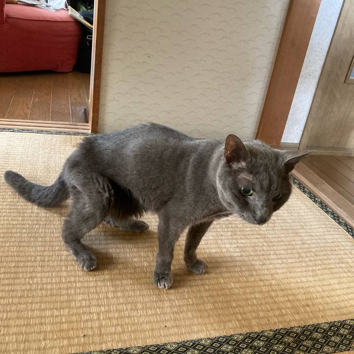 970736b8 bd39 43ee 9107 2627e60e7856 1655089090843