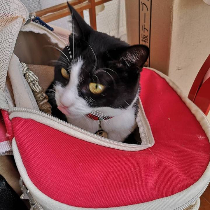 970743ea b025 45f7 815a f95f7f31ae84 1664856824033