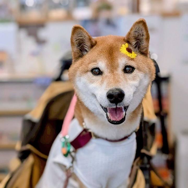 97079c0c 6b47 4122 8c55 f985d7c37991 1747191000989