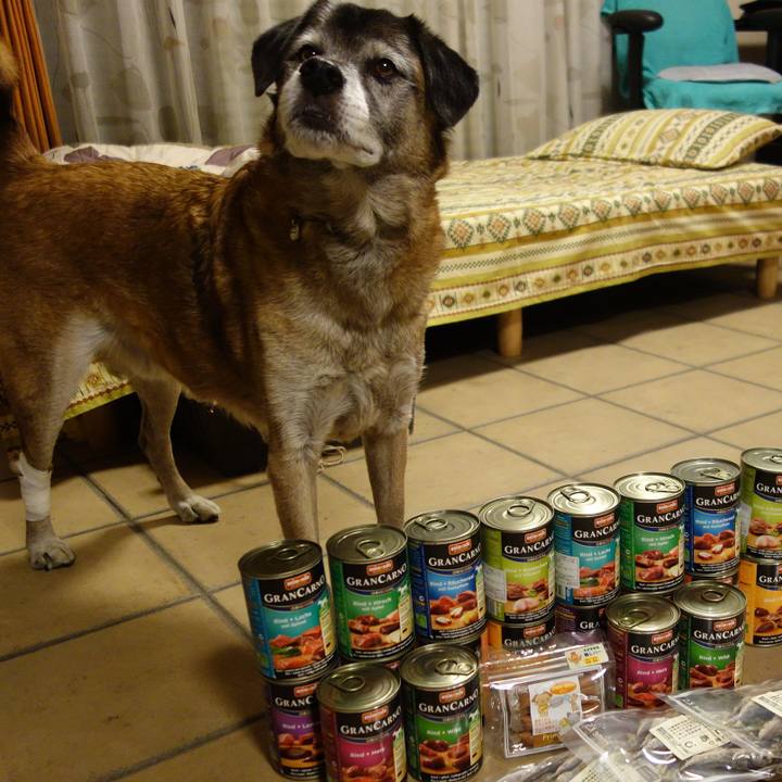 9707d07e ab0f 47ec abb7 750bb8ffc882 1544364936179