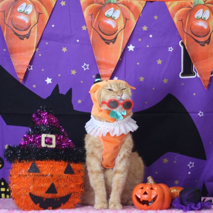 9708453a ff9c 4f81 b9ee 3769995bb589 1666262709145