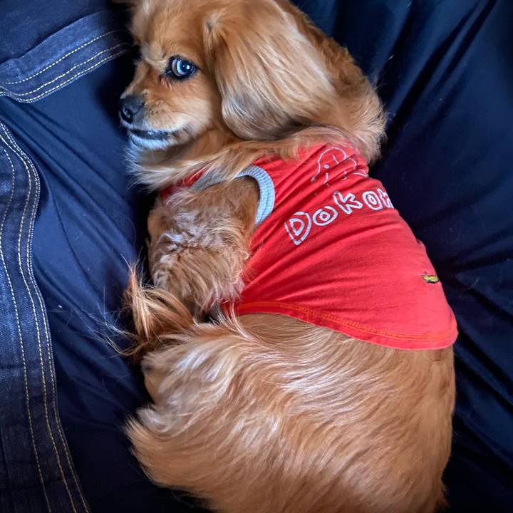 97084945 cab3 4dec 955c ef1a3ec923a1 1615501237059