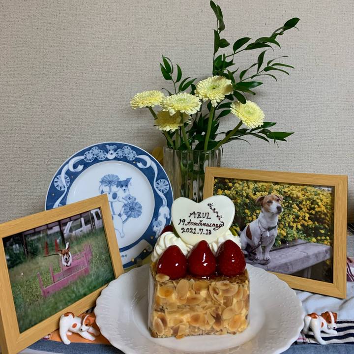 970861bb 6c52 46a0 99fd dfd4b778d32d 1626178775448