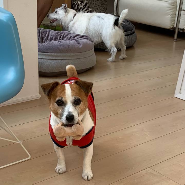 970871d8 0a21 4250 813a 0d4b9d9b54e3 1630132986533