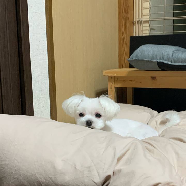 9708b22b 18cb 4a93 93c0 8acaa5a7e5be 1686657833254