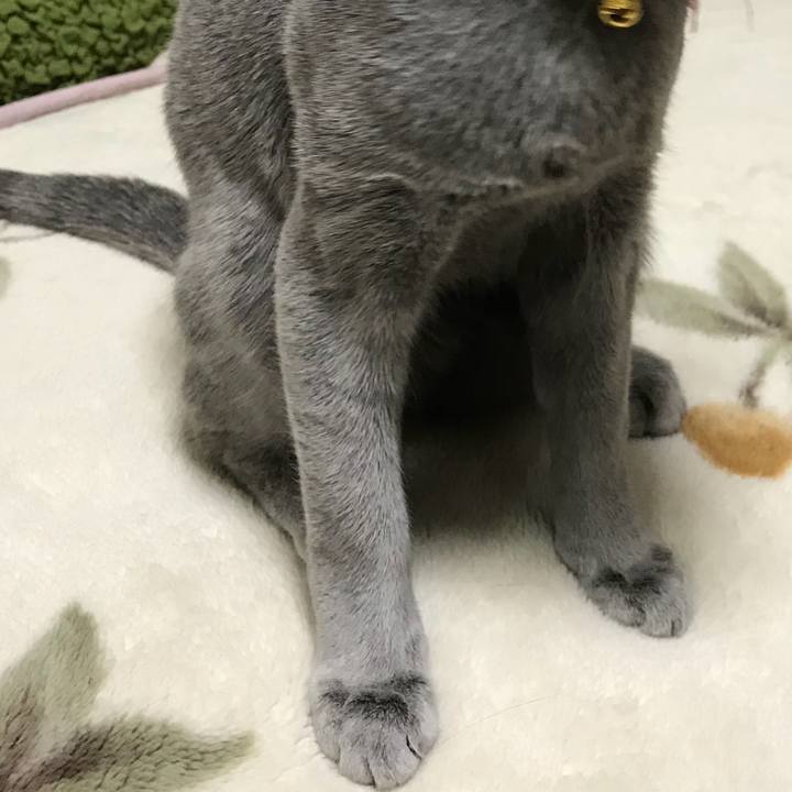 9708ca08 32cc 416c b1ec 0ad2fce93c78 1511881390794