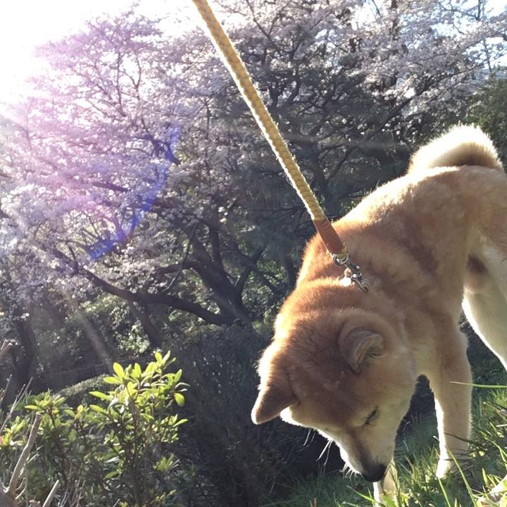 9708f263 ceb2 4023 a7c9 98dbcb67c629 1617181188176