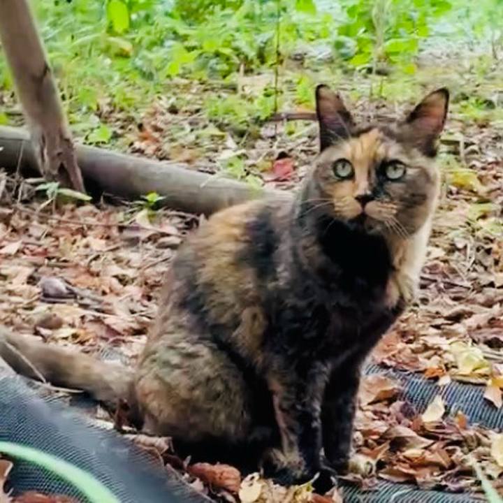 97091cb7 d984 40c5 a81a 3958f684a99d 1756540720014